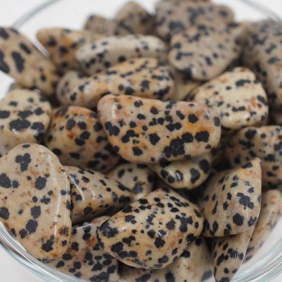 (2) Tumbled Dalmatian Jasper Stones - Picture 2 of 4